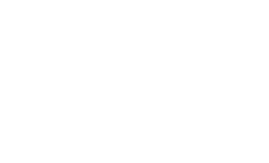 LittleSport LittleSport